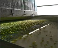 華為迎來(lái)的轉(zhuǎn)折讓金屬網(wǎng)帶生產(chǎn)廠家激動(dòng)