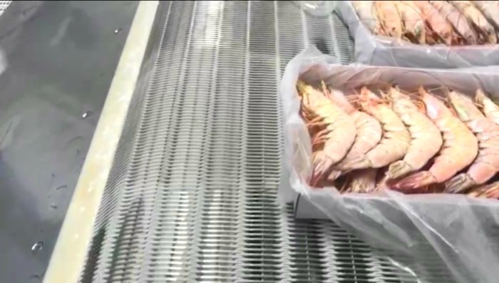 冷凍網帶理解聯邦快遞起訴美國政府的初衷