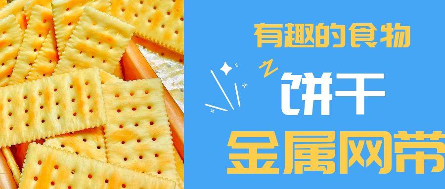 【有趣的食物】餅干到底用到多少金屬網(wǎng)帶？