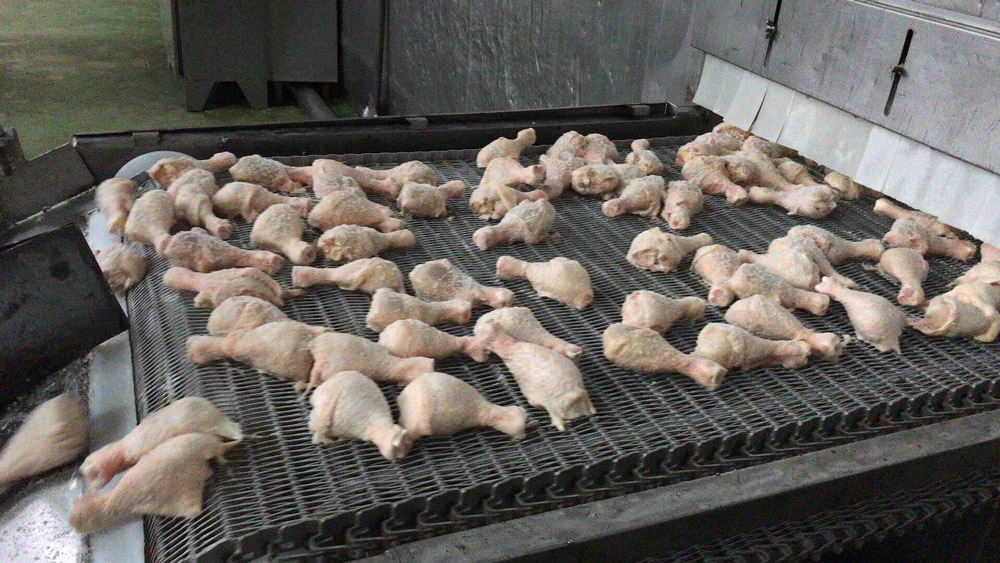 冷凍食品機械加工批發(fā)案例